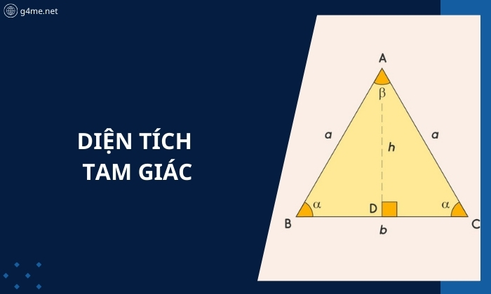 Cách Tính Diện Tích Tam Giác Thường, Cân,Vuông, Đều Và Ví Dụ