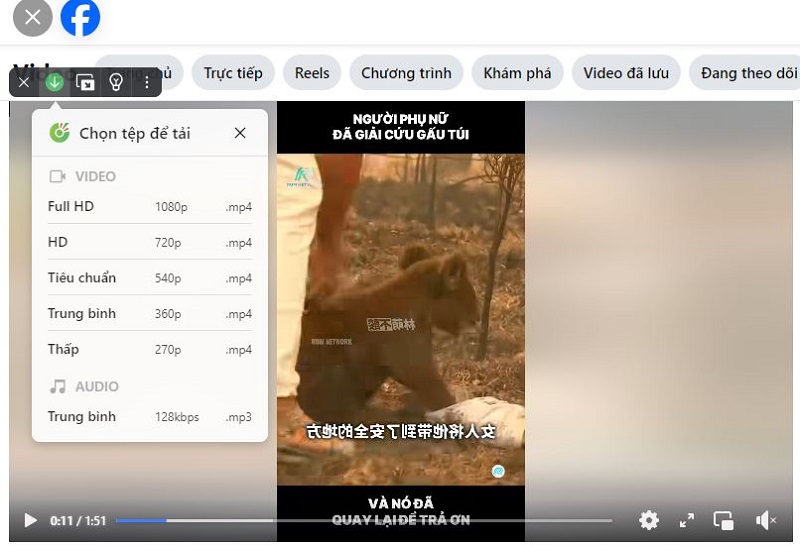 Chọn chất lượng video và download về thiết bị