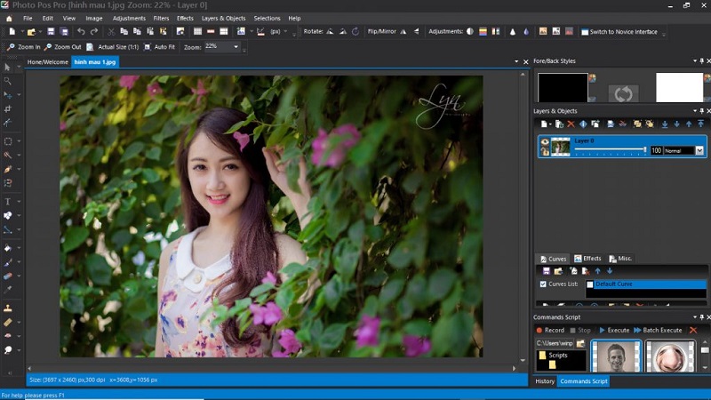 Khám phá trọn bộ các tính năng nổi bật của phần mềm Photo Pos Pro