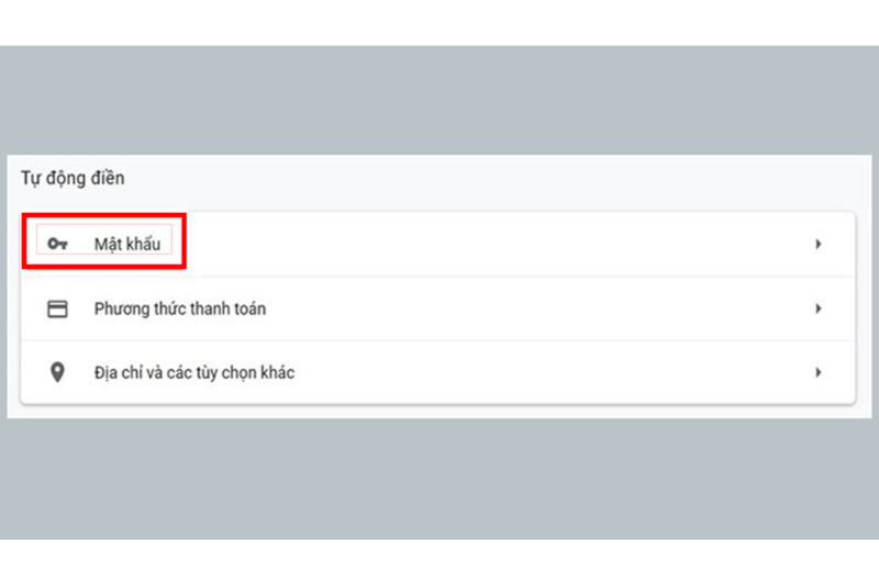 Nhấn chọn mục mật khẩu trong mục tự động điền trên trình duyệt web