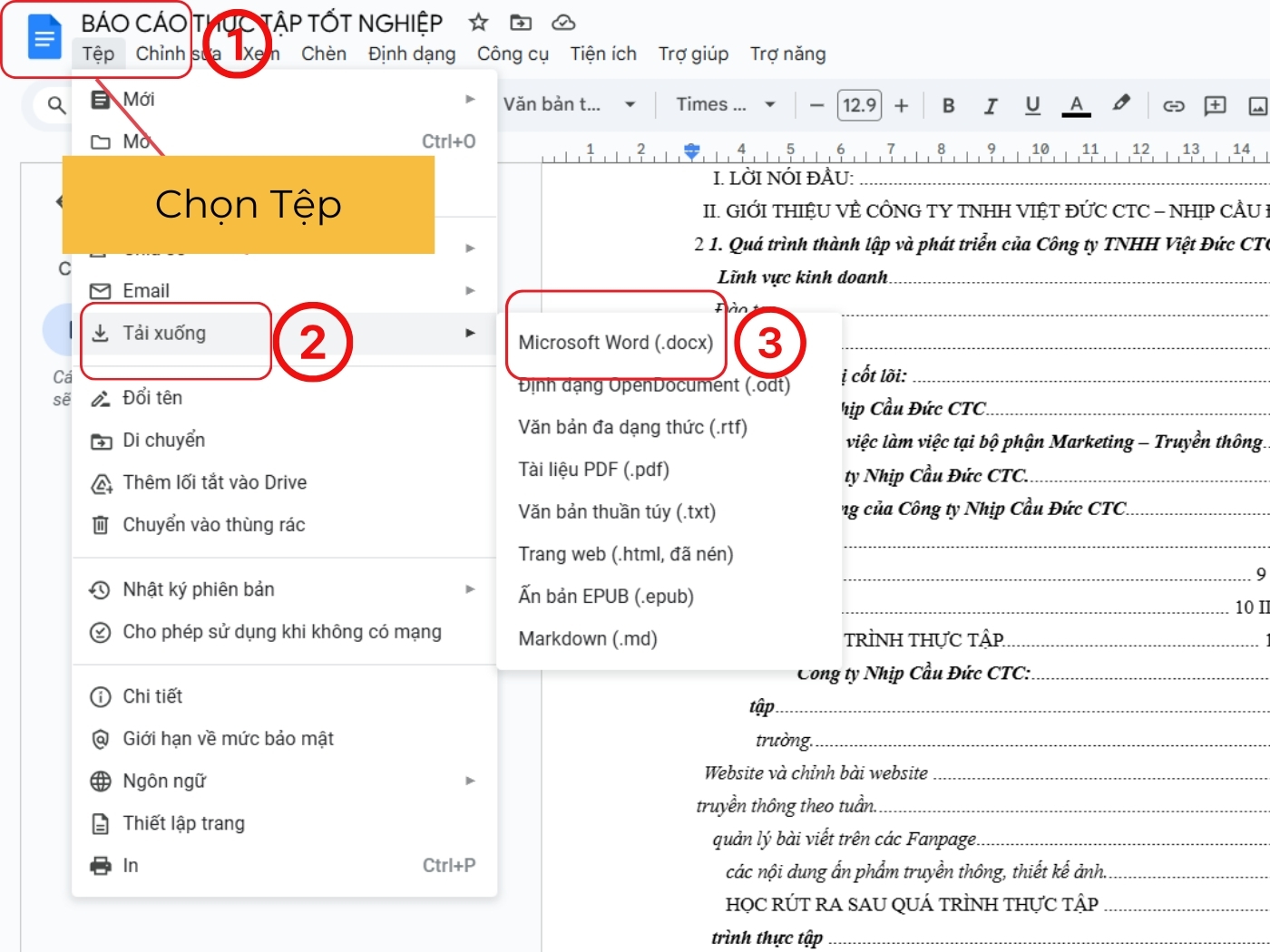  Cách chuyển file PDF sang Word bằng Docs bước 3
