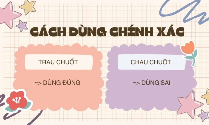 Cách dùng chính xác của trau chuốt hay chau chuốt