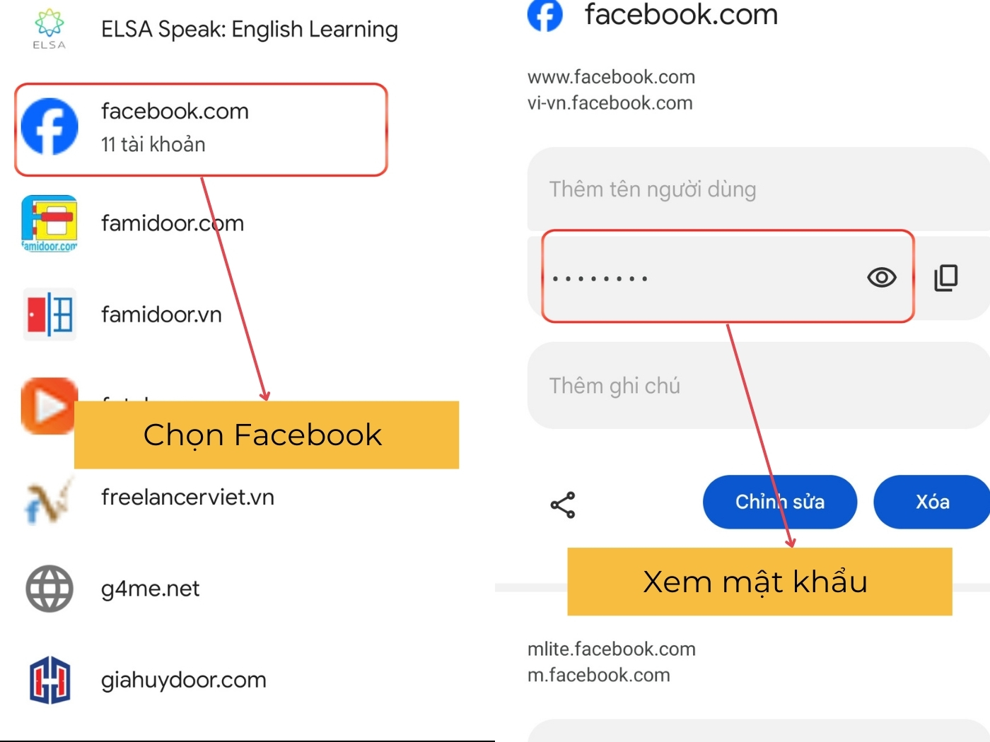 Chọn Facebook và xem mật khẩu 