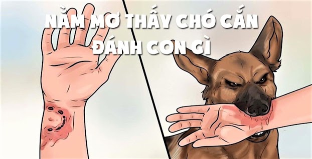 Ý nghĩa những giấc mơ về chó