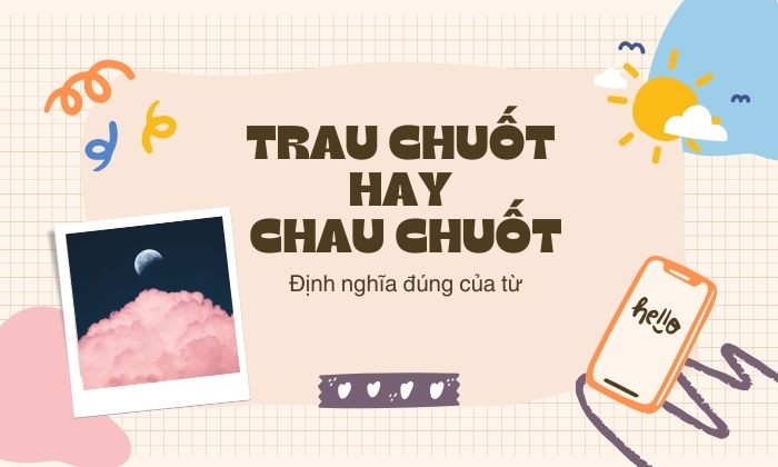 Định nghĩa chung của trau chuốt hay chau chuốt