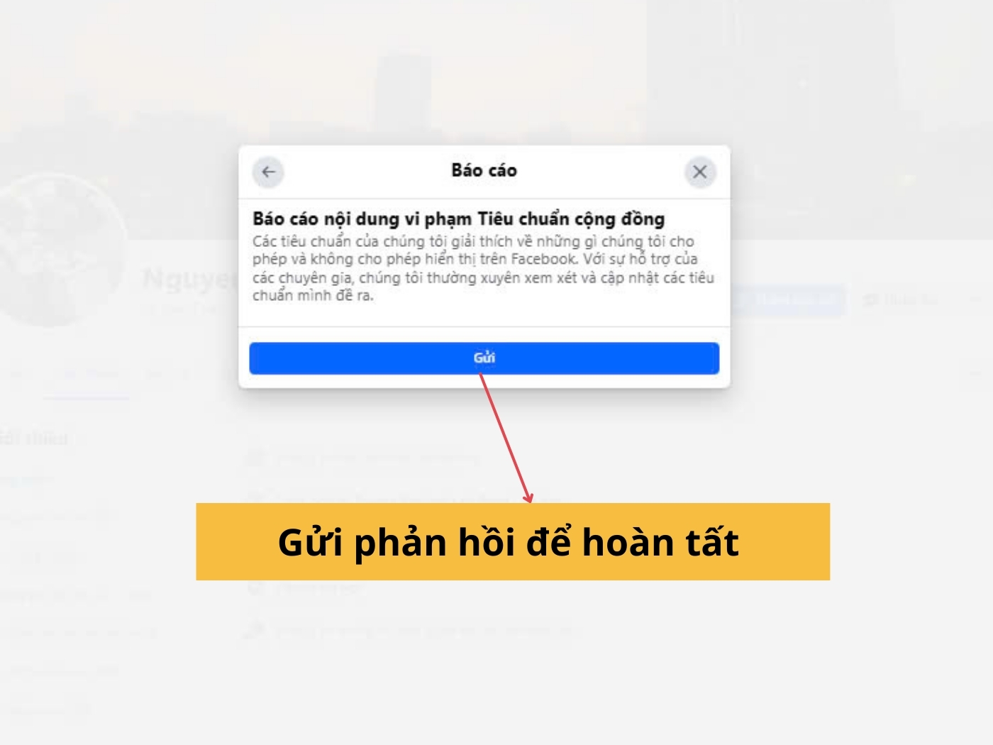 Gửi phản hồi để báo cáo 