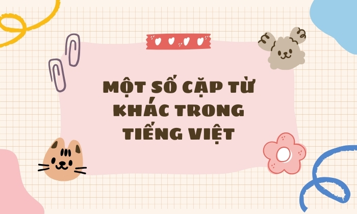 Một vài cặp từ khác thường gặp trong tiếng Việt 