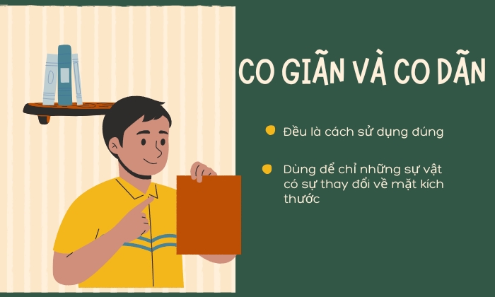 Những cách sử dụng của co giãn và co dãn 