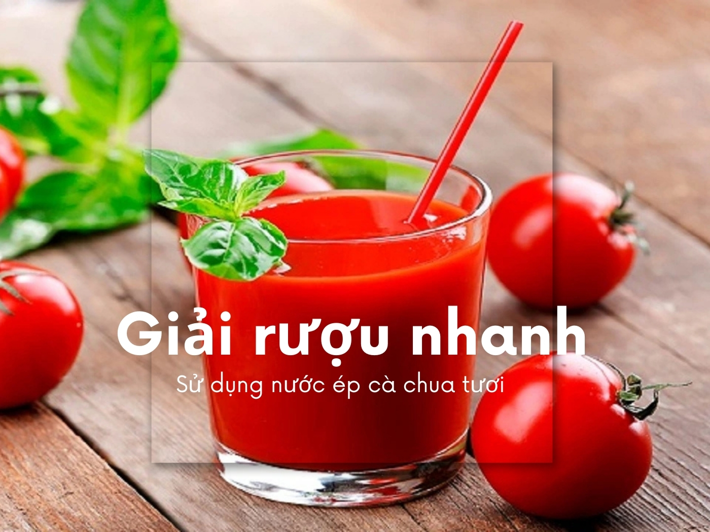 Nước ép cà chua giải rượu 